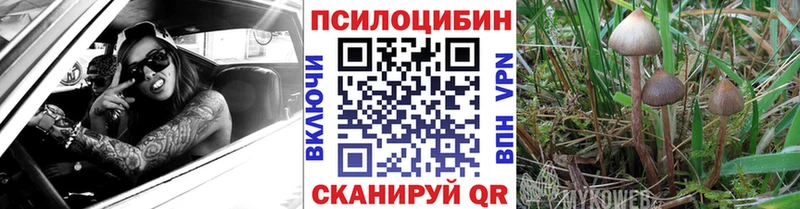 наркошоп  Невинномысск  Галлюциногенные грибы ЛСД 