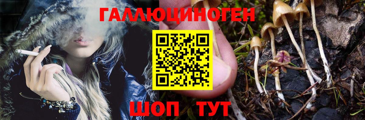Невинномысск  Галлюциногенные грибы Magic Shrooms  Вход с VPN  хочу   Псилоцибиновые грибы мицелий 