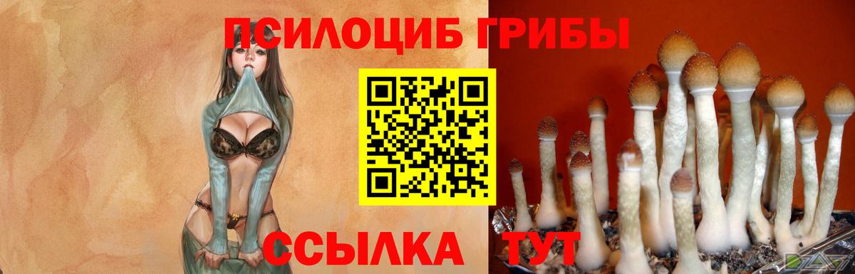 Галлюциногенные грибы мицелий  Невинномысск 